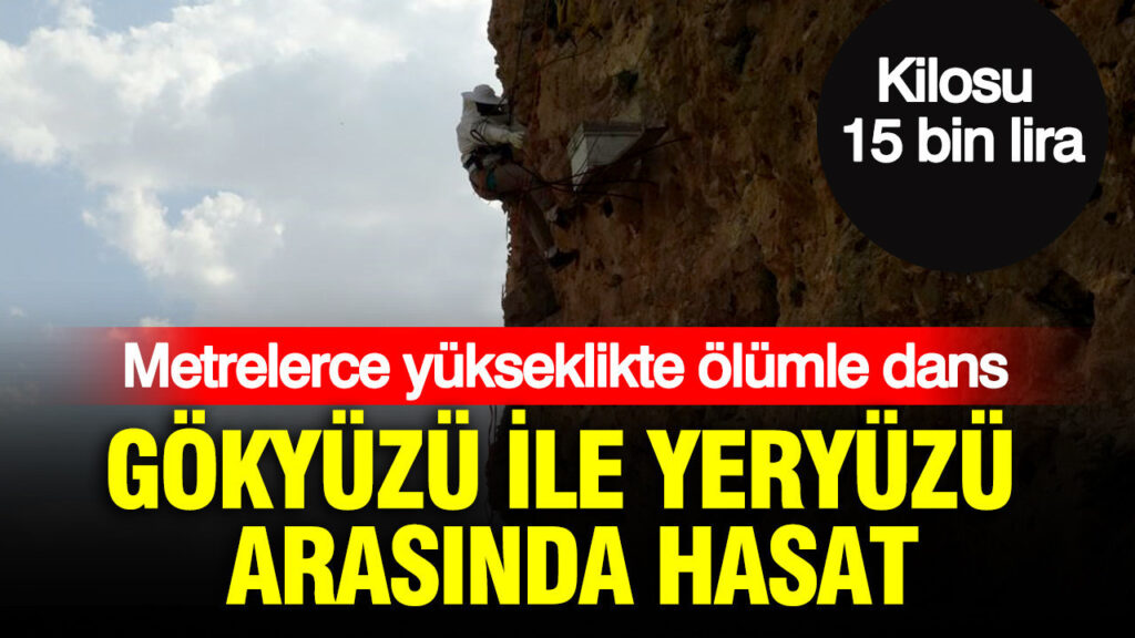 haber-gorseli-1786526124415